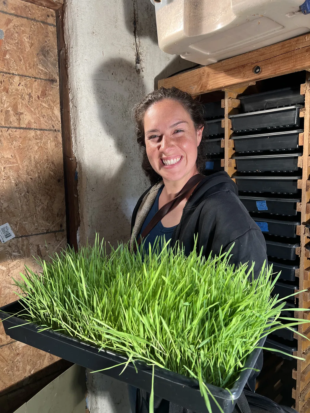 Dr. Gina Oliver holding a tray of young barley grown by From The Land