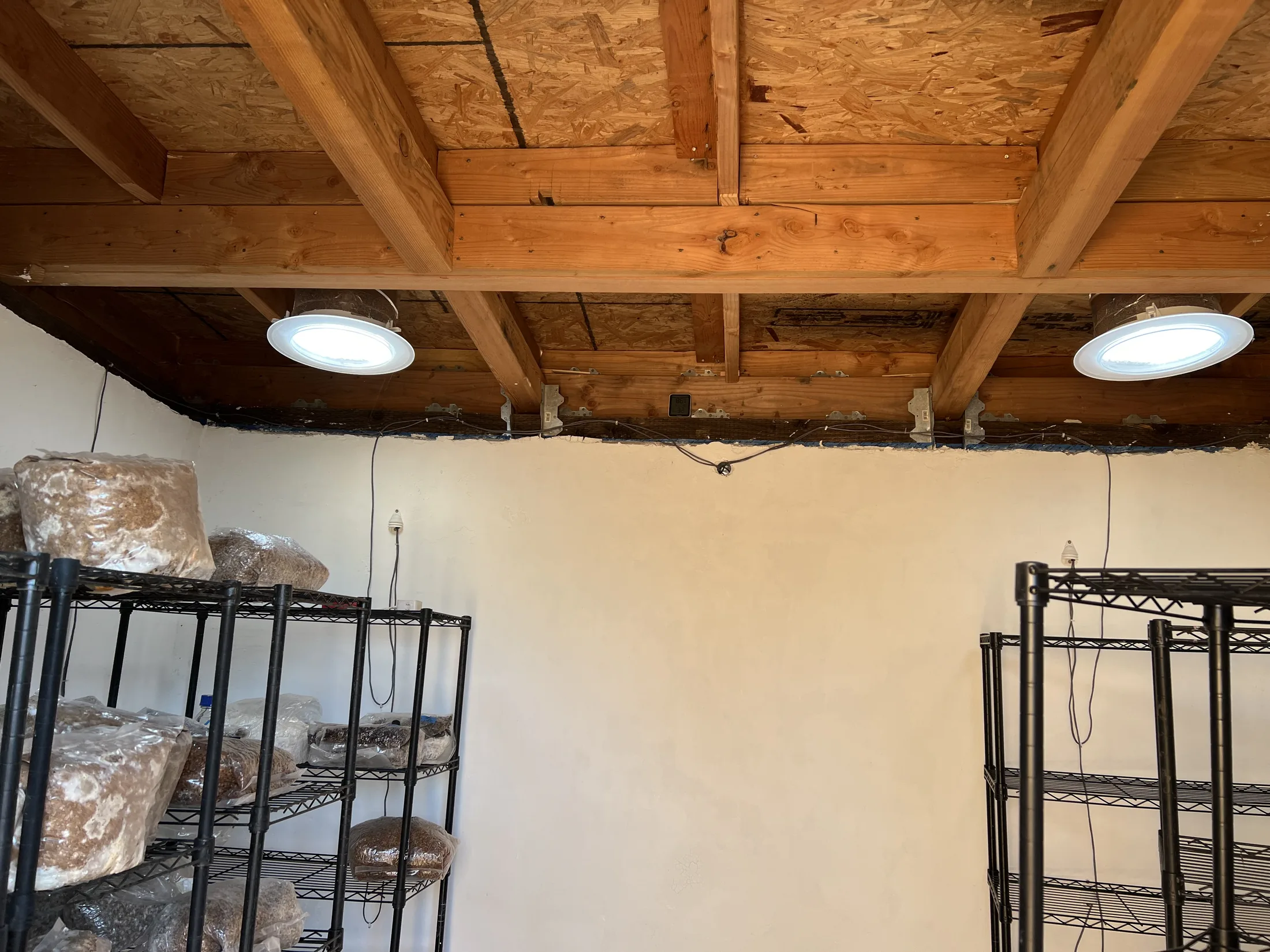 Interior of a Littlest Big Farm with mushroom racks and daylight tubes